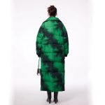 Winteraura - Image 2