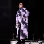 Winteraura - Image 4