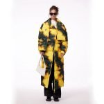 Winteraura - Image 3